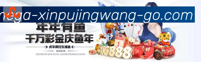 未来规划